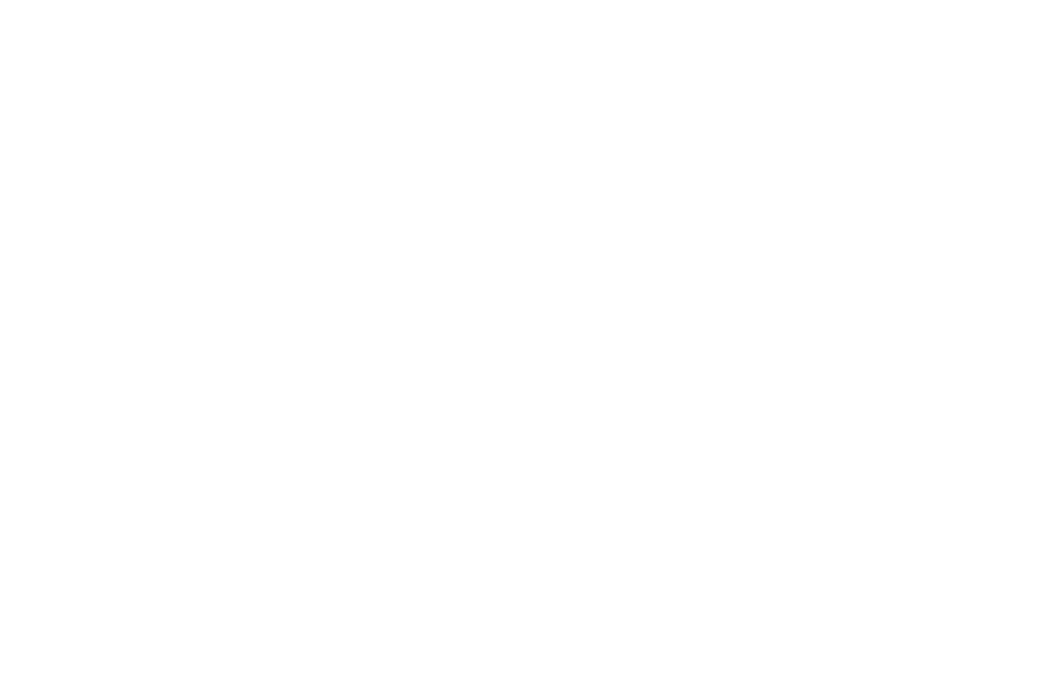 Phidji Photo signature